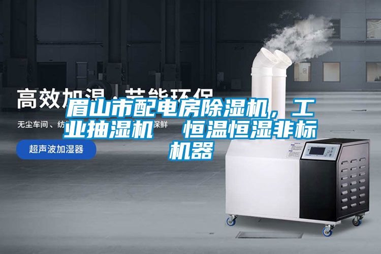 眉山市配電房除濕機(jī)，工業(yè)抽濕機(jī)  恒溫恒濕非標(biāo)機(jī)器