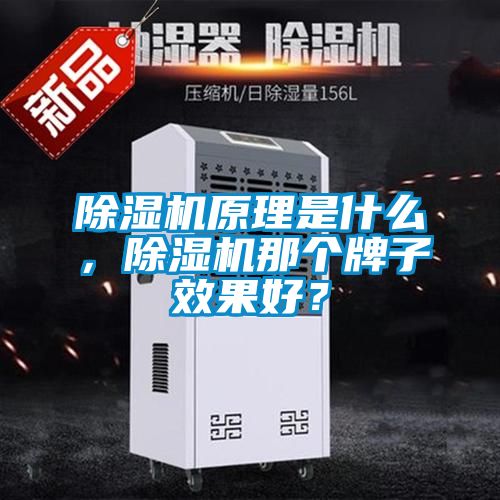 除濕機原理是什么，除濕機那個牌子效果好？