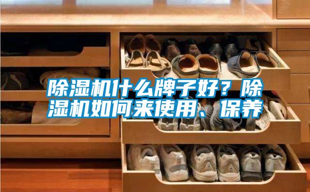 除濕機什么牌子好？除濕機如何來使用、保養(yǎng)
