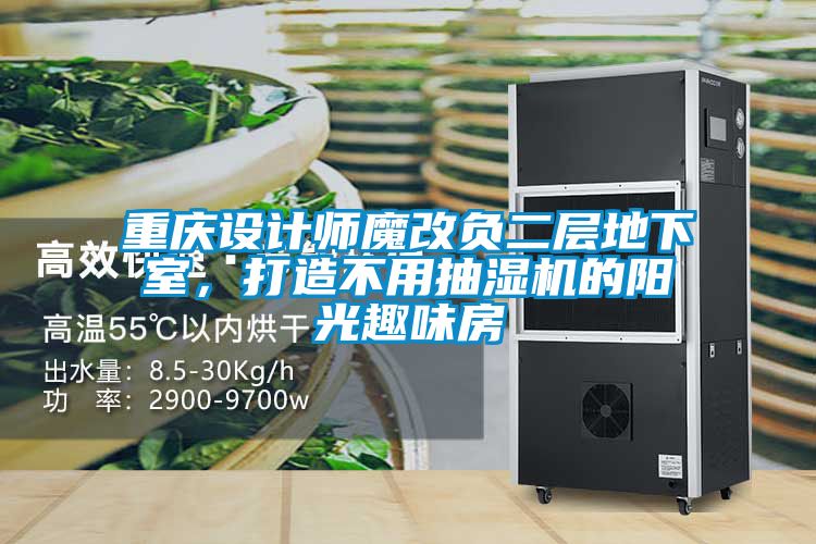 重慶設(shè)計(jì)師魔改負(fù)二層地下室，打造不用抽濕機(jī)的陽光趣味房