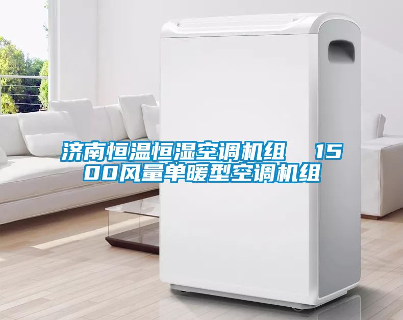 濟南恒溫恒濕空調(diào)機組  1500風量單暖型空調(diào)機組