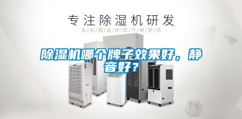 除濕機(jī)哪個(gè)牌子效果好，靜音好？