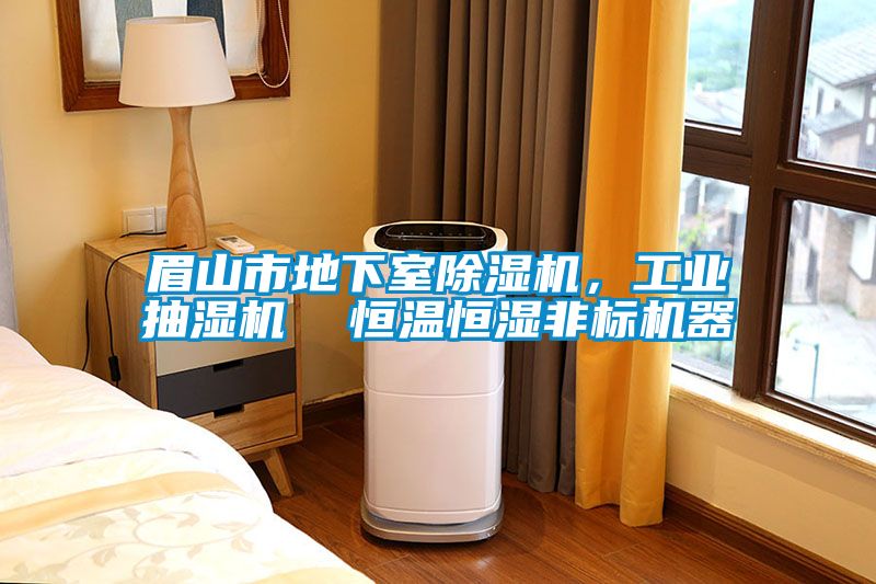眉山市地下室除濕機(jī)，工業(yè)抽濕機(jī)  恒溫恒濕非標(biāo)機(jī)器