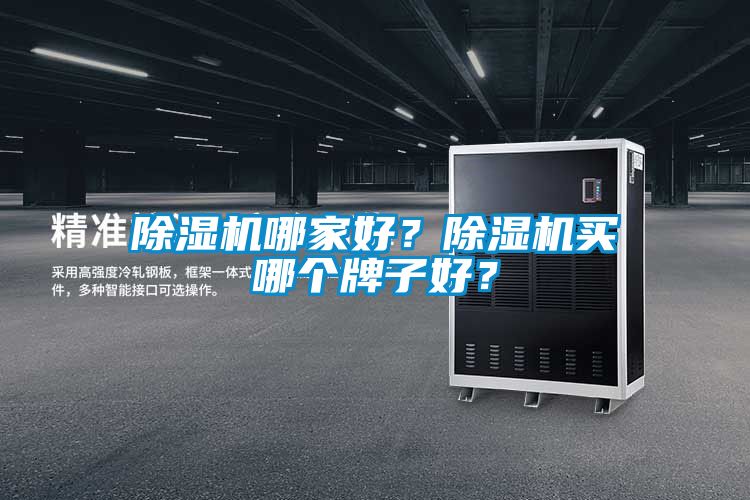 除濕機(jī)哪家好？除濕機(jī)買(mǎi)哪個(gè)牌子好？