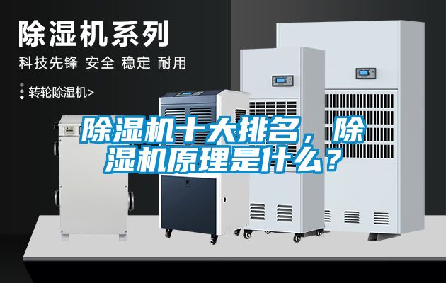 除濕機十大排名，除濕機原理是什么？