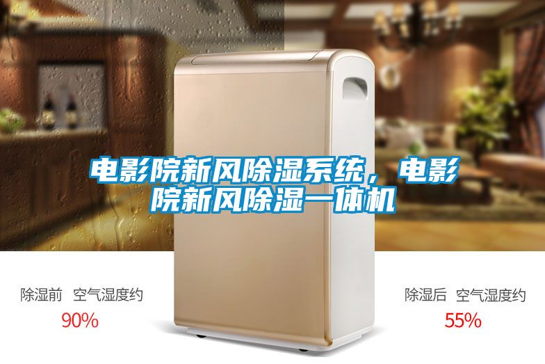 電影院新風(fēng)除濕系統(tǒng)，電影院新風(fēng)除濕一體機