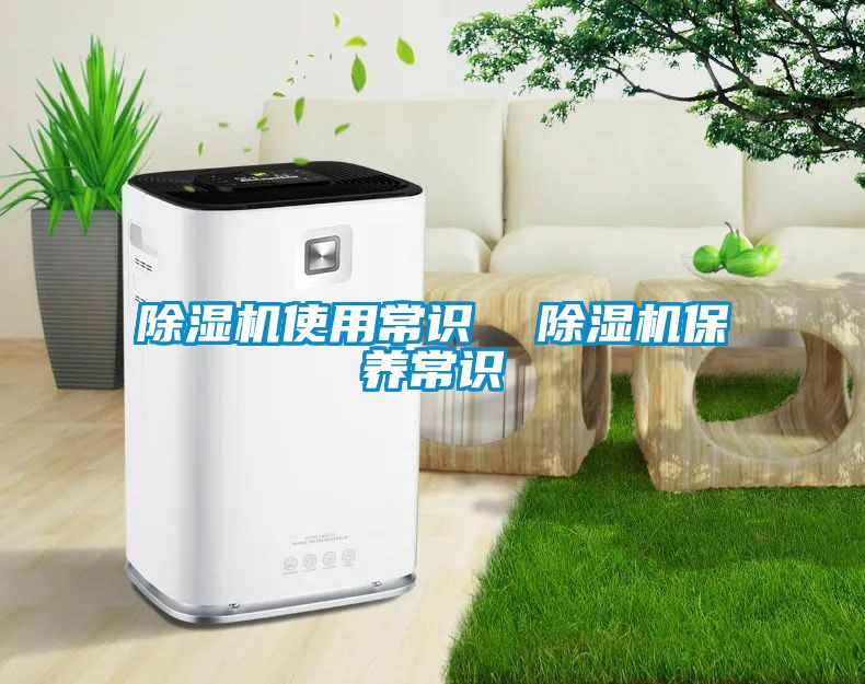 除濕機(jī)使用常識(shí)  除濕機(jī)保養(yǎng)常識(shí)