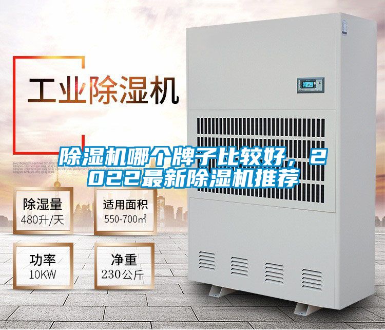 除濕機哪個牌子比較好，2022最新除濕機推薦