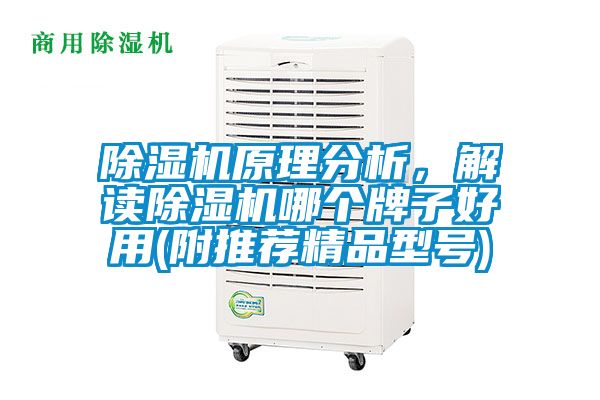 除濕機原理分析，解讀除濕機哪個牌子好用(附推薦精品型號)