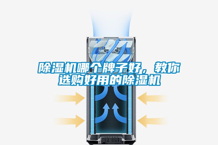除濕機(jī)哪個(gè)牌子好，教你選購(gòu)好用的除濕機(jī)