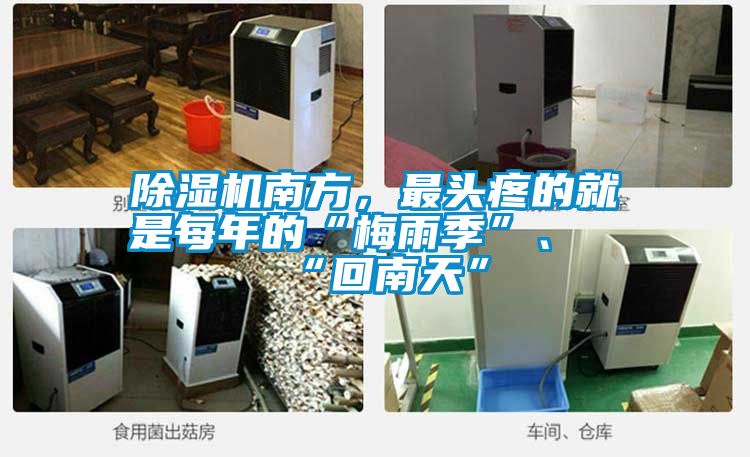 除濕機南方，最頭疼的就是每年的“梅雨季”、“回南天”