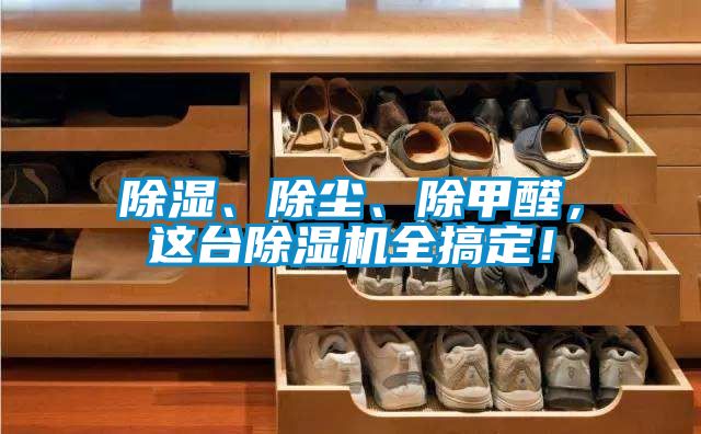 除濕、除塵、除甲醛，這臺(tái)除濕機(jī)全搞定！