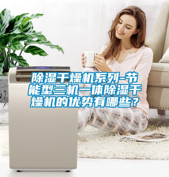 除濕干燥機系列-節(jié)能型三機一體除濕干燥機的優(yōu)勢有哪些？