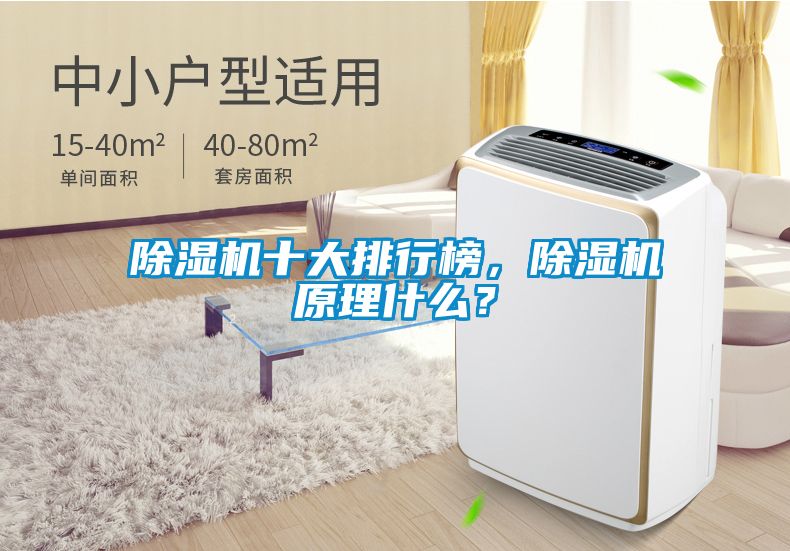 除濕機十大排行榜，除濕機原理什么？