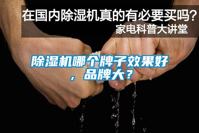 除濕機哪個牌子效果好，品牌大？