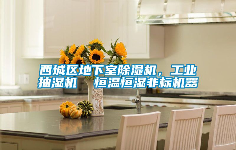 西城區(qū)地下室除濕機(jī)，工業(yè)抽濕機(jī)  恒溫恒濕非標(biāo)機(jī)器