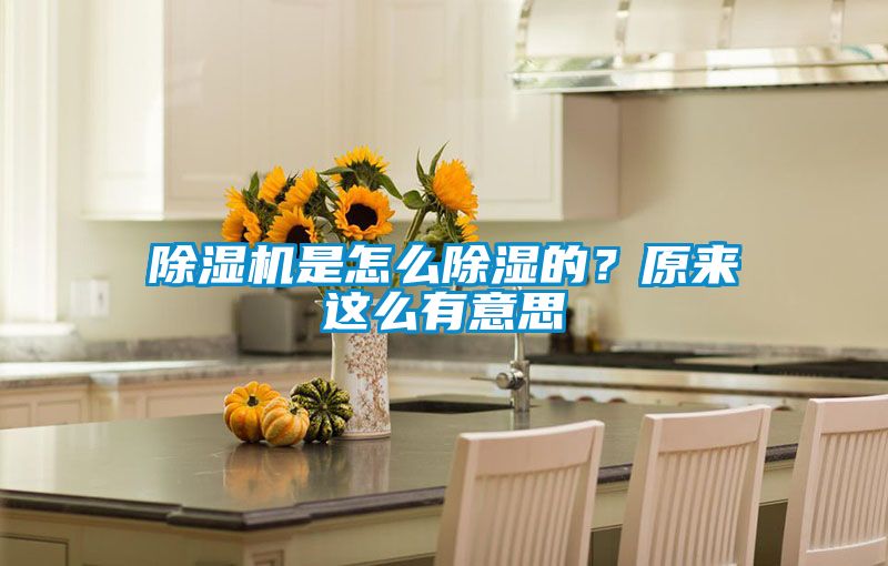 除濕機是怎么除濕的？原來這么有意思