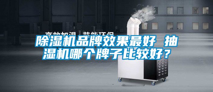 除濕機品牌效果最好 抽濕機哪個牌子比較好？
