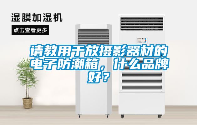請教用于放攝影器材的電子防潮箱，什么品牌好？