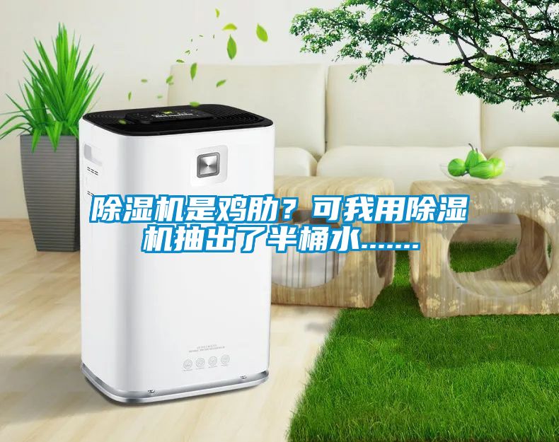 除濕機(jī)是雞肋？可我用除濕機(jī)抽出了半桶水.......