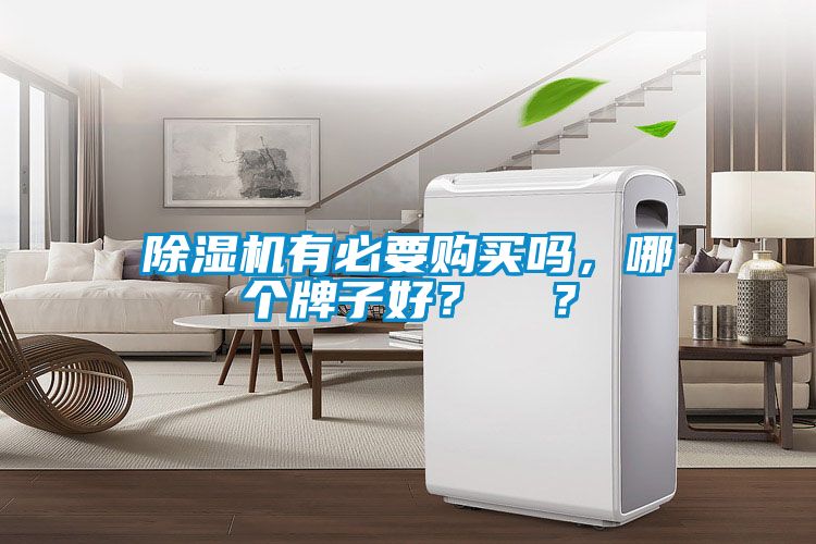 除濕機有必要購買嗎，哪個牌子好？  ？