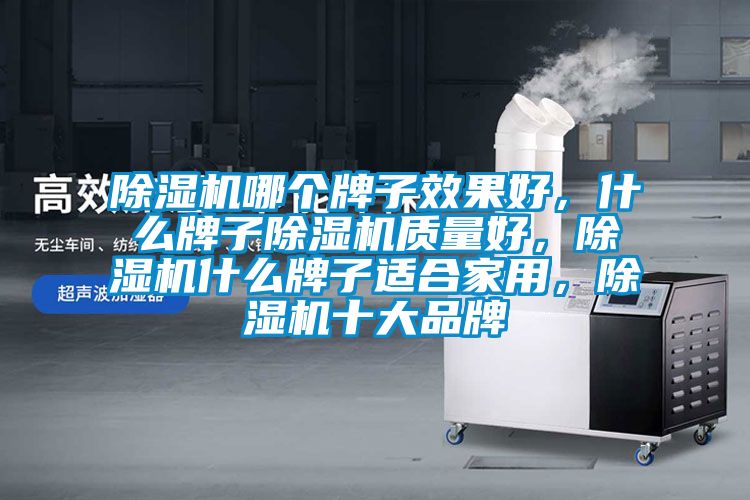 除濕機(jī)哪個(gè)牌子效果好，什么牌子除濕機(jī)質(zhì)量好，除濕機(jī)什么牌子適合家用，除濕機(jī)十大品牌