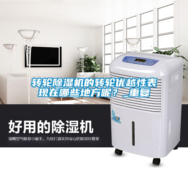轉(zhuǎn)輪除濕機(jī)的轉(zhuǎn)輪優(yōu)越性表現(xiàn)在哪些地方呢？_重復(fù)