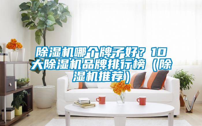除濕機哪個牌子好？10大除濕機品牌排行榜（除濕機推薦）