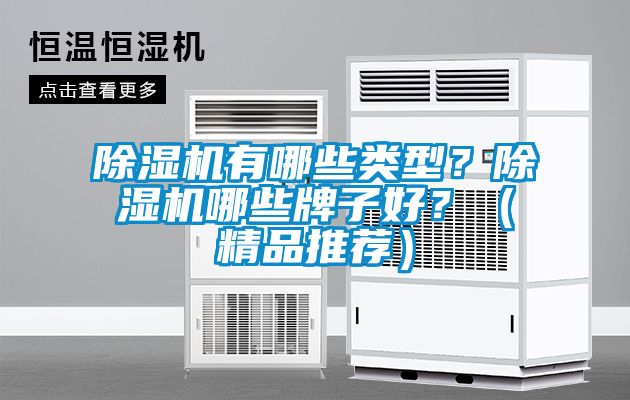 除濕機(jī)有哪些類型？除濕機(jī)哪些牌子好？（精品推薦）