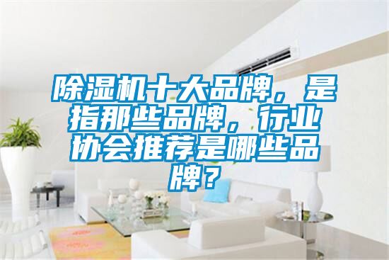 除濕機十大品牌，是指那些品牌，行業(yè)協(xié)會推薦是哪些品牌？