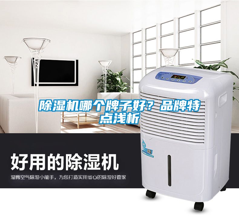 除濕機(jī)哪個牌子好？品牌特點淺析