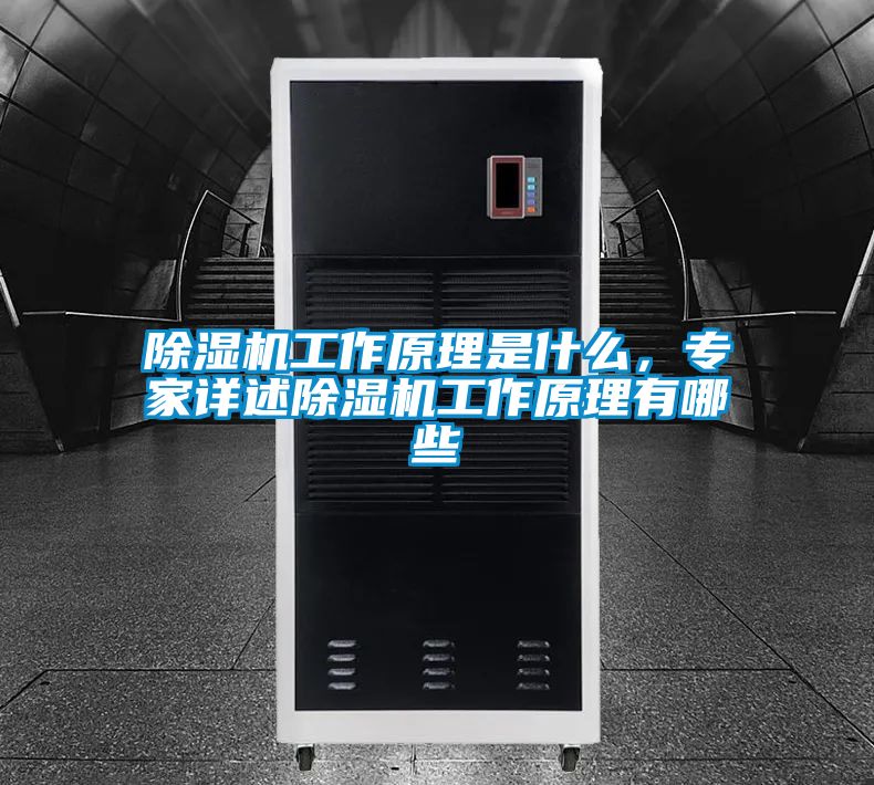 除濕機工作原理是什么，專家詳述除濕機工作原理有哪些