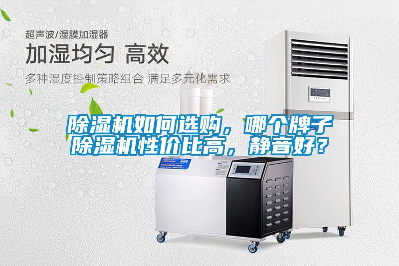除濕機(jī)如何選購(gòu)，哪個(gè)牌子除濕機(jī)性?xún)r(jià)比高，靜音好？