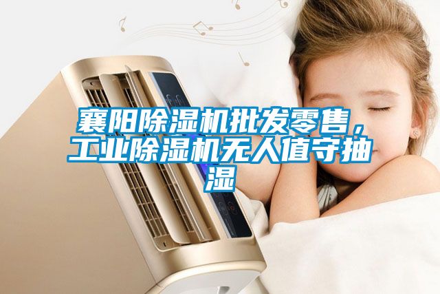 襄陽除濕機批發(fā)零售，工業(yè)除濕機無人值守抽濕