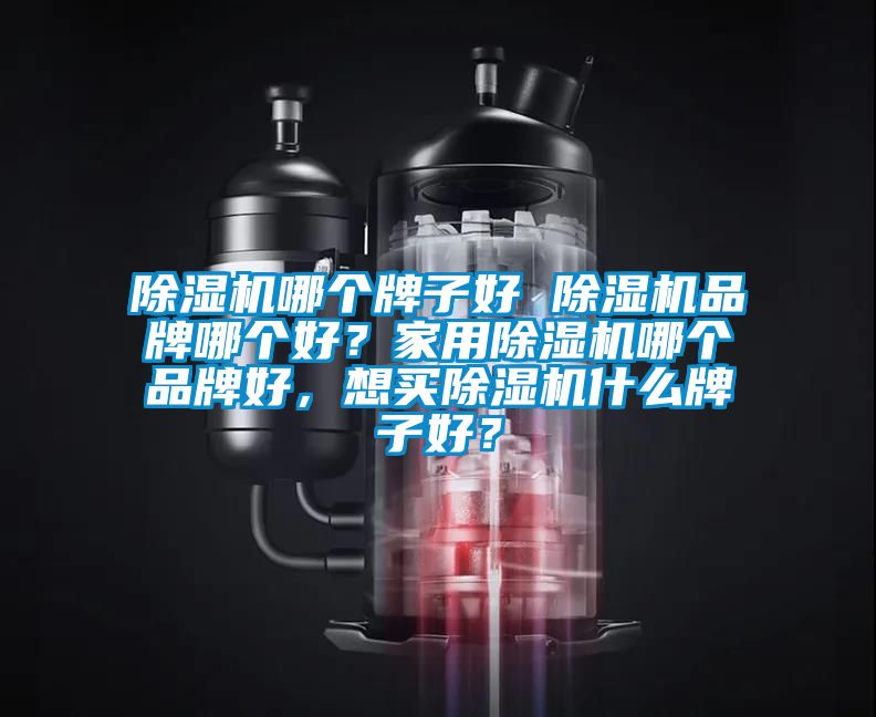 除濕機(jī)哪個(gè)牌子好 除濕機(jī)品牌哪個(gè)好？家用除濕機(jī)哪個(gè)品牌好，想買(mǎi)除濕機(jī)什么牌子好？