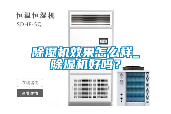 除濕機(jī)效果怎么樣_除濕機(jī)好嗎？