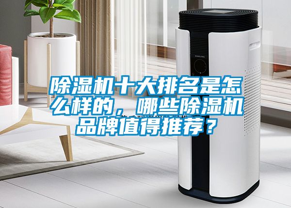 除濕機(jī)十大排名是怎么樣的，哪些除濕機(jī)品牌值得推薦？
