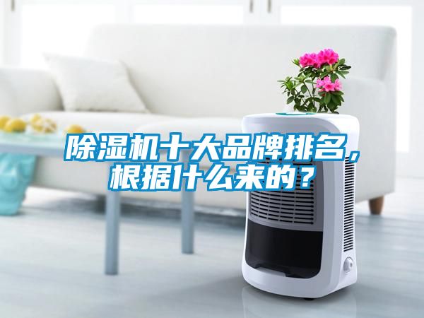 除濕機十大品牌排名，根據(jù)什么來的？