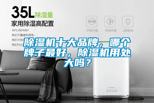 除濕機十大品牌，哪個牌子最好，除濕機用處大嗎？
