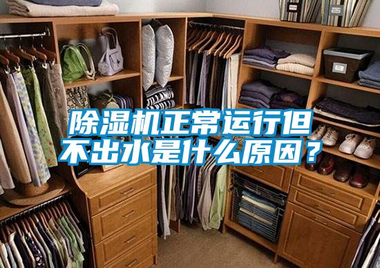 除濕機正常運行但不出水是什么原因？