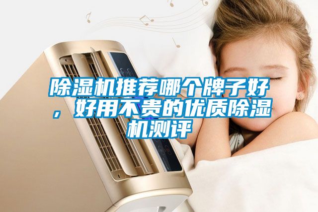 除濕機推薦哪個牌子好，好用不貴的優(yōu)質除濕機測評
