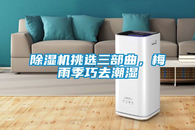 除濕機挑選三部曲，梅雨季巧去潮濕