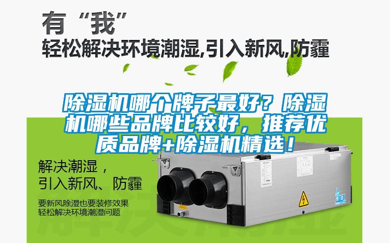 除濕機(jī)哪個(gè)牌子最好？除濕機(jī)哪些品牌比較好，推薦優(yōu)質(zhì)品牌+除濕機(jī)精選！