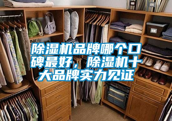 除濕機(jī)品牌哪個(gè)口碑最好，除濕機(jī)十大品牌實(shí)力見(jiàn)證