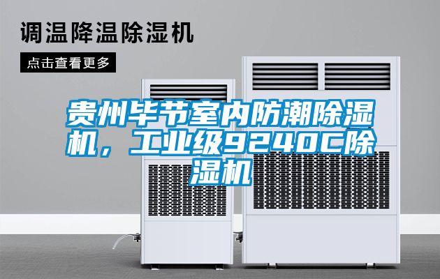 貴州畢節(jié)室內(nèi)防潮除濕機(jī)，工業(yè)級(jí)9240C除濕機(jī)
