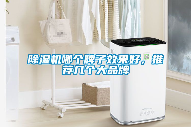 除濕機(jī)哪個(gè)牌子效果好，推薦幾個(gè)大品牌