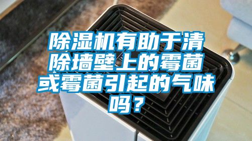 除濕機有助于清除墻壁上的霉菌或霉菌引起的氣味嗎？