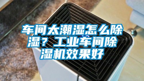 車間太潮濕怎么除濕？工業(yè)車間除濕機效果好