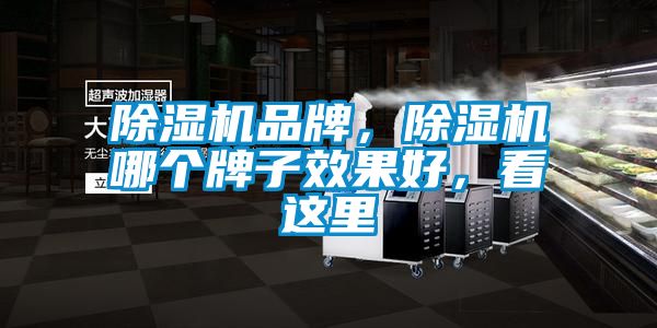 除濕機(jī)品牌，除濕機(jī)哪個(gè)牌子效果好，看這里