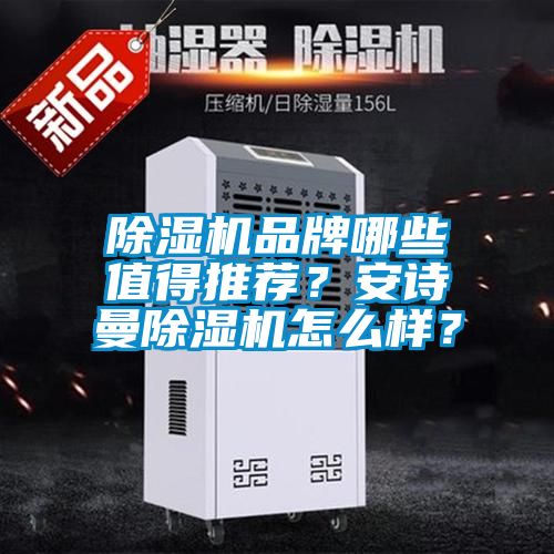 除濕機品牌哪些值得推薦？安詩曼除濕機怎么樣？